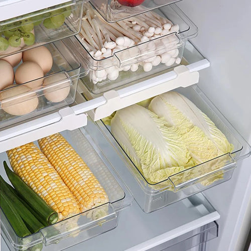 Kitchen Storage Box Fruit Vegetable Preservation Organizer Transparent Egg Container Under-Shelf Refrigerator Drawer
